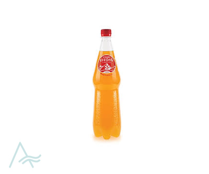 ULUDAG ORANGE GAZOZ 250ML